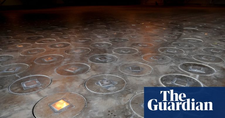 Radioactive wasp nest discovered at nuclear waste storage site in South Carolina