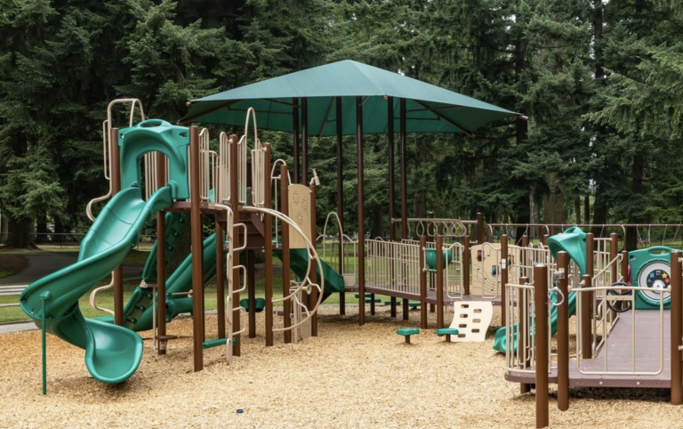 Top Parks and Playgrounds to Visit in Bellevue This Summer