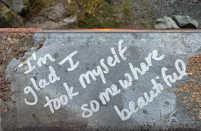 Slog AM: Seattle’s Primary Season Is Upon Us, Trump Wants Sports to Be Racist Again, and Scientists Figured Out How Snakes Eat Bones    