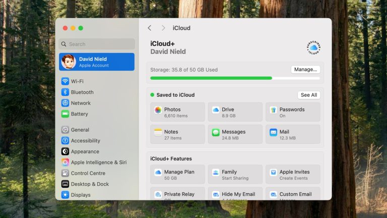 What Happens to Your Data If You Stop Paying for Cloud Storage?