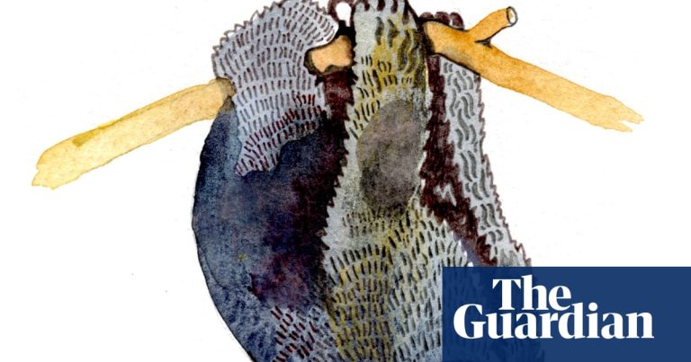 Can bears swing upside down and what colour is electricity? The kids’ quiz