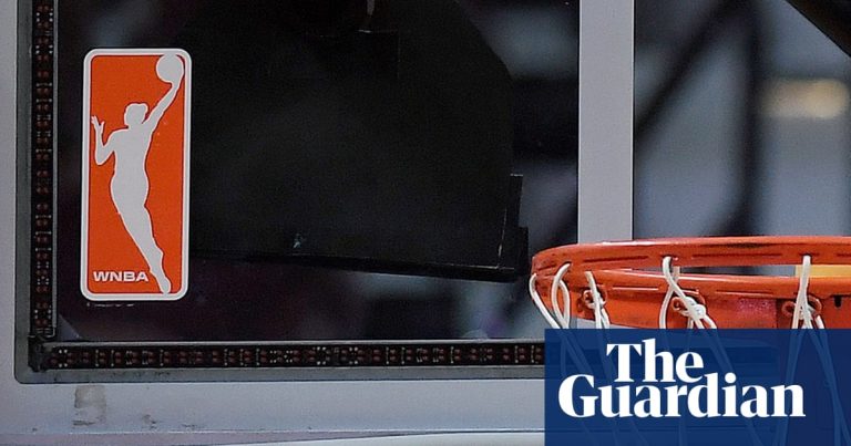 WNBA says fan arrested for throwing sex toy on court and vows future bans