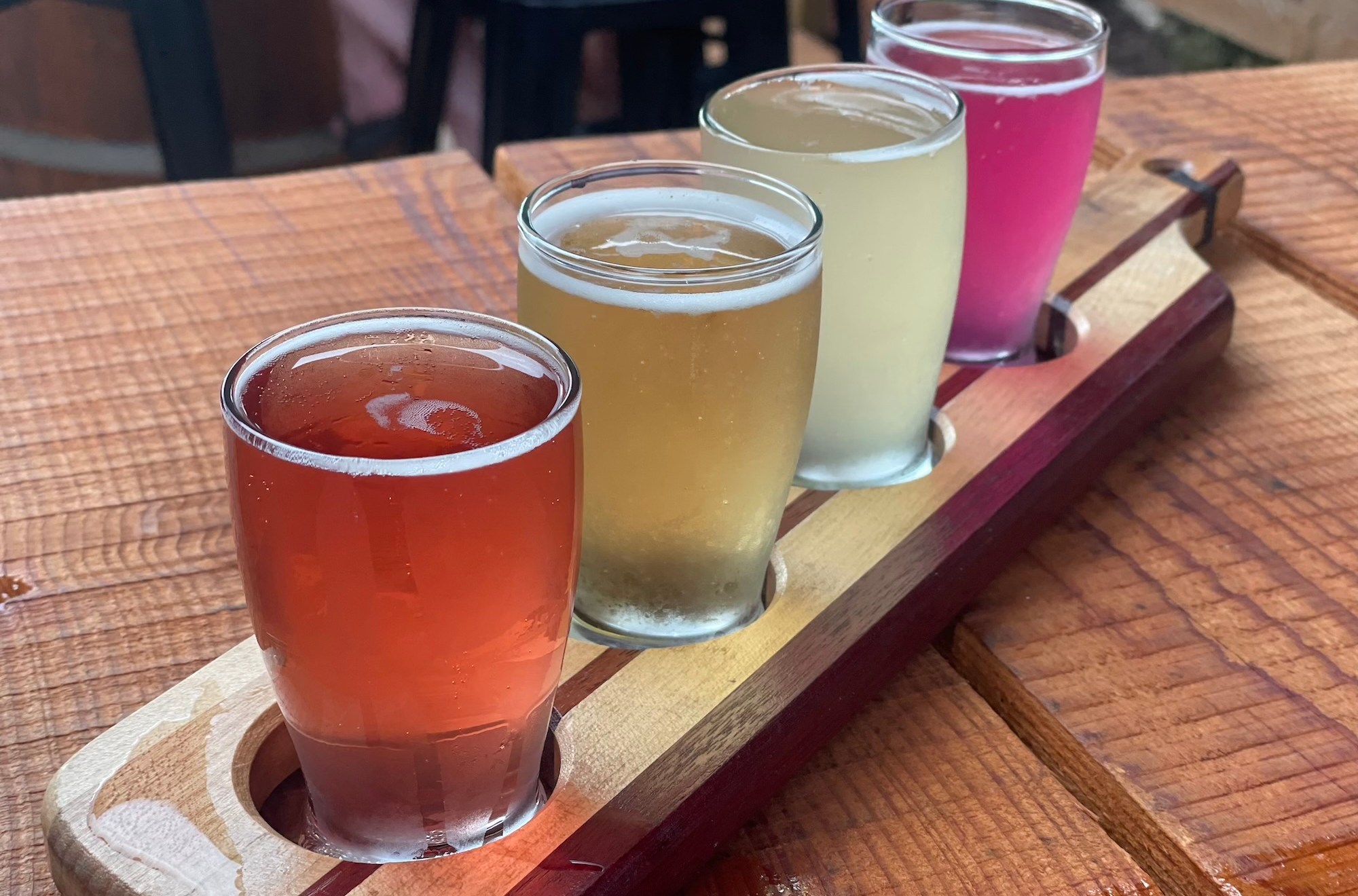 A row of color cider glasses.