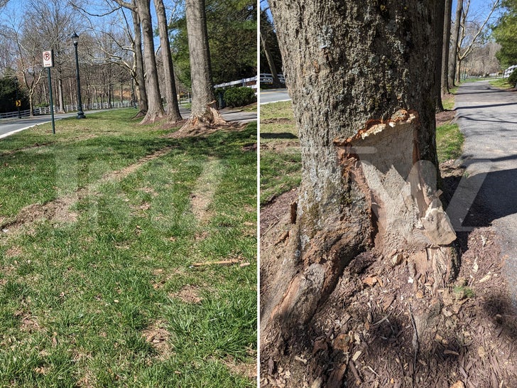 0321-Karen-Huger-DUI-Crash-Scene-primary