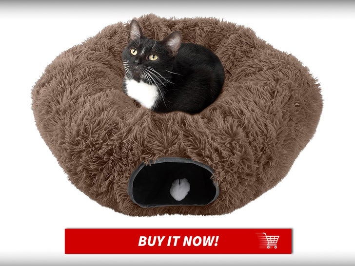 Cat-Tunnel-With-Bed-For-Indoor-Cats-Cat-Week-Launch-MAIN