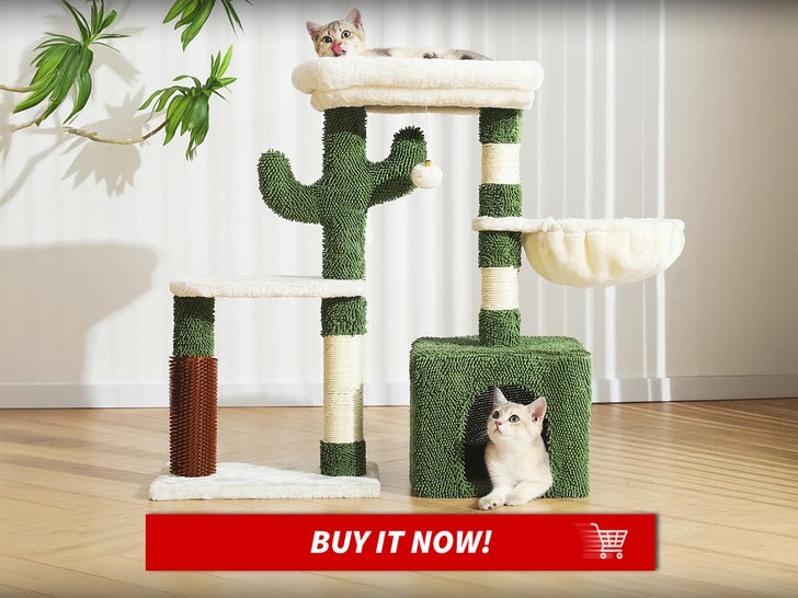 Hoopet-32-Inch-Small-Cat-Tree-Cat-Week-Launch-MAIN