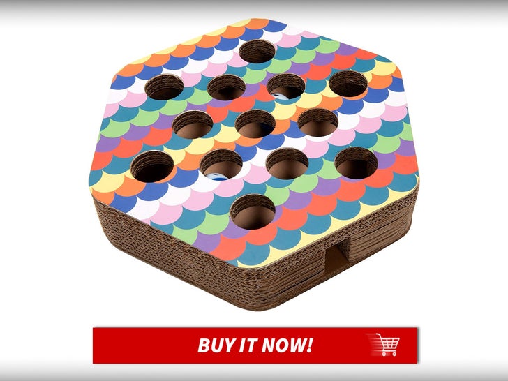 Furhaven-Scratching-Pad-Ball-Track-Cat-Toy-Cat-Week-Launch-MAIN