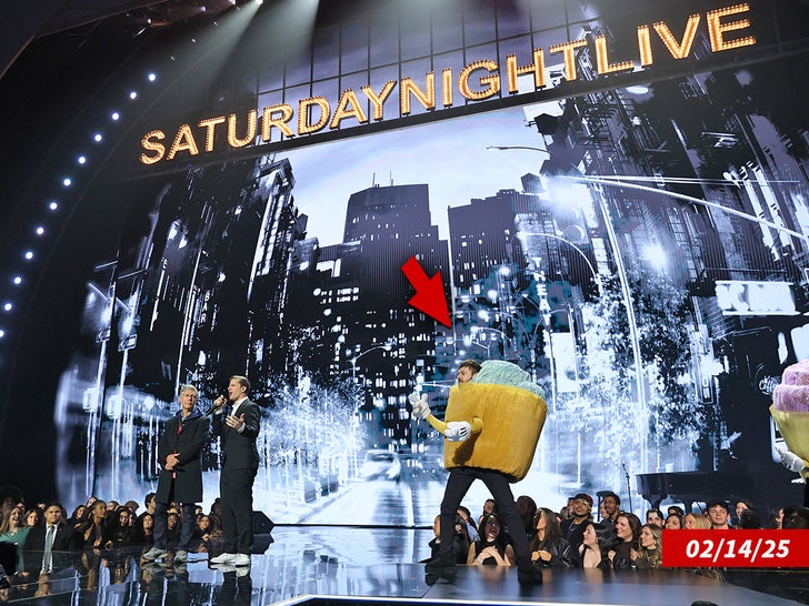 Jorma Taccone snl sub getty swipe