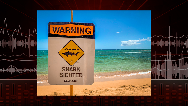 shark-attack-florida-key-west-1