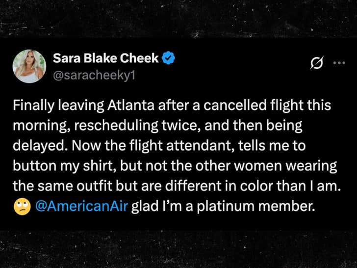 sara blake cheek american airlines tweet x