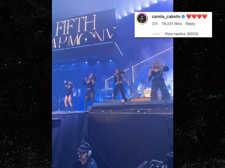 Camila Cabello reaction to fifith harmony reunion 1