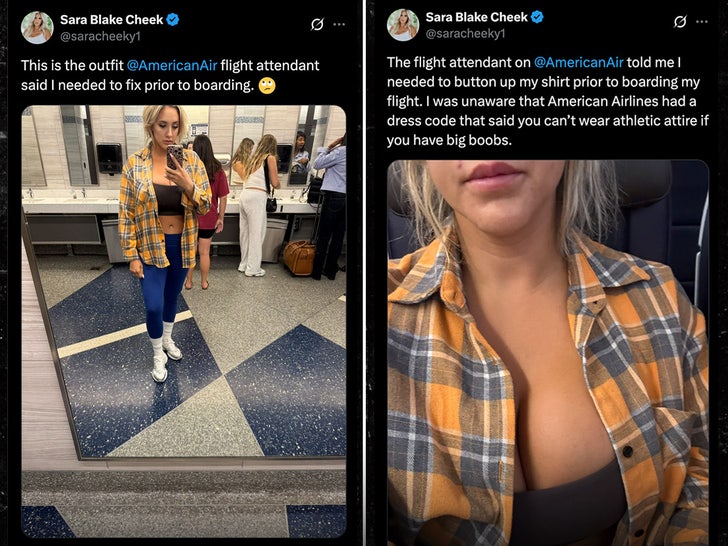 sara blake cheek american airlines split sub tweet x