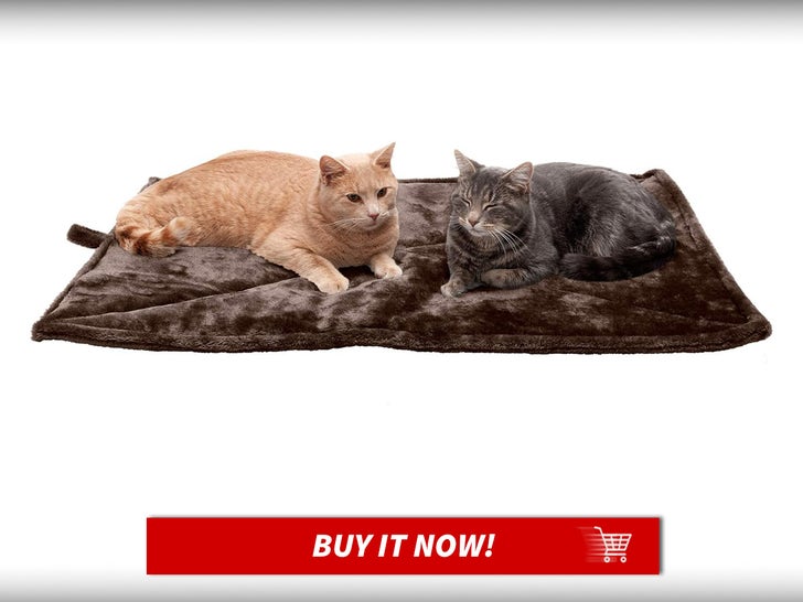 Furhaven-ThermaNAP-Self-Warming-Cat-Bed-Cat-Week-Launch-MAIN