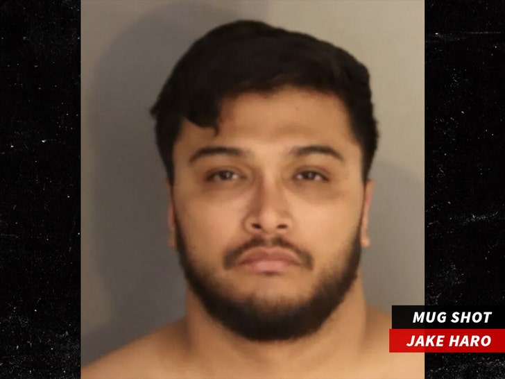 jake haro mug shot  The San Bernardino County Sheriff’s Department 2