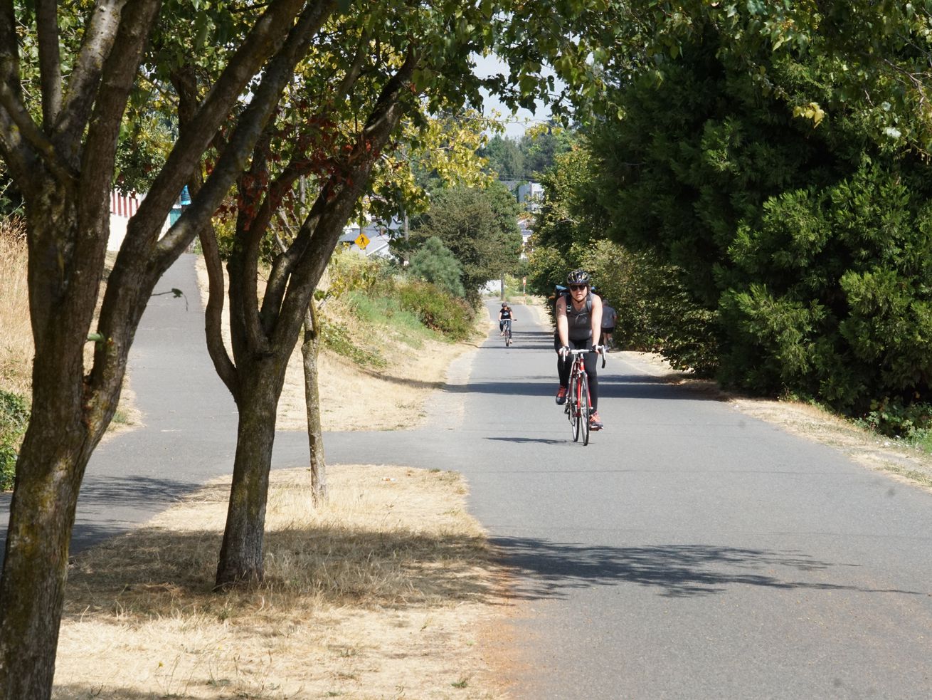 The Burke-Gilman Trail.